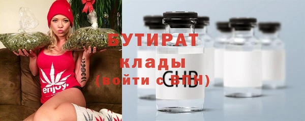 стаф Горняк