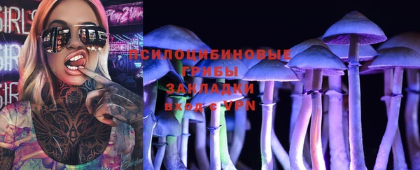 соль ск Нефтекумск