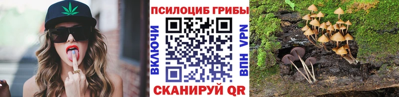 Псилоцибиновые грибы Psilocybe  Бежецк 